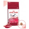Royal Canin Medium Adult 15 Kg