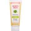 Burts Bees Aloe & Buttermilk lapte de corp piele sensibilă cu aloe vera 170 g