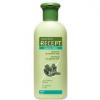 Subrina Sampon pentru Par Gras 400ml