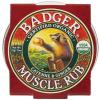 Badger Mini balsam cu ardei Cayenne si ghimbir, 21 g