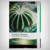 Pokon Pamant pentru cactusi 5L