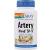 Solaray Artery Blend 100cps