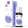 Bionovativ LIFE Ulei Esential de Scortisoara 10ml