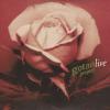 Gotan Project Live