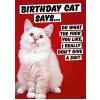 Dean Morris Cards Felicitare - Birthday Cat Says Rude Birthday Card