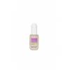Biofficina Toscana Ser facial antioxidant 30-ml