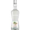 Monin Lichior Curacao Triple Sec 38% 70 cl