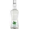 Monin Lichior Menta Alba ( Frilyse Menthe - White Pepermint) 20% 70 cl