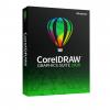 Corel DRAW Graphics Suite 2020, Windows, licenta electronica