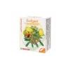 QUANTUM PHARM Eudigest, 20 capsule