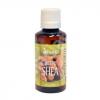 Adams ULEI DE SHEA