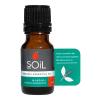 SOiL Ulei Esential Niaouli 10 ml