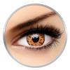 ColourVUE Crazy Yellow Leopard