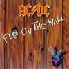 AC/DC Fly On The Wall