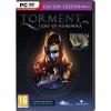 Techland Torment Tides of Numenera Day One Edition