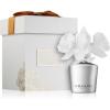 Chando Myst Fresh Lily aroma difuzor cu rezerva 35 ml