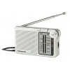 Panasonic RF-P150EG-S