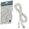 ZedLabz Charging Cable