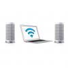 Clint Freya Stereo WiFi