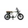 Pegas Partizan E-Bike Verde Mineral