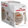 Royal Canin Ageing +12 12x85g