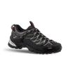 Salewa INCALTAMINTE ALP TRAINER GTX