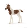 Schleich Pintabian foal