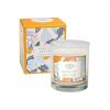 The Country Candle Lumanare parfumata Fragrant Orchard Apricot Nectar Glass