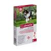 Bayer Soluţie spot-on pentru câini A.U.V. pentru câini între 10-25 kg (4 x 2,5 ml)