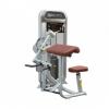 IMPULSE Aparat dual biceps / triceps PL9023