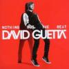 David Guetta Nothing But the Beat