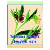 Cyani Ceai de tataneasa 100g