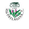 Ceta SIBIU Unguent patlagina - 20 g