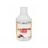 Xplode Gain Nutrition X L-Carnitine Liquid, 500 ml, fructe de padure