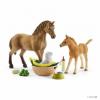 Schleich Set de ingrijire pentru animale sl42432