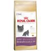 Royal Canin British Shorthair 34 10kg