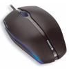 Cherry Gentix Illuminated