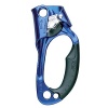 Petzl Ascension