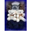Alinuta Lumanare de botez i - MOV2463