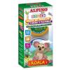 Alpino Kit 6 culori plastelina magica Koala