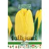 Green Paradise Bulbi Lalele Strong Gold, galben, 5 buc
