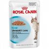 Royal Canin Urinary Care 12 plicuri de 85g