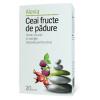 Alevia Ceai fructe de padure