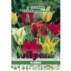 Green Paradise Bulbi Lalele Viridiflora Mixtura, mix, 5 buc