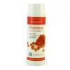 Bentley Organic Sampon pentru par uscat si deteriorat, 250 ml, 70% organic