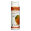 Bentley Organic Sampon pentru uz frecvent, 250 ml, 70% organic