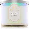 Bath & Body Works Cinnamon Pine Cone lumânare parfumată 411 g