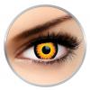 ColourVUE Crazy Orange Werewolf One day (2 lentile/cutie)