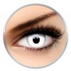 ColourVUE Crazy Whiteout One day (2 lentile/cutie)