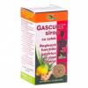 STAR INTERNATIONAL Gascure sirop 100ml